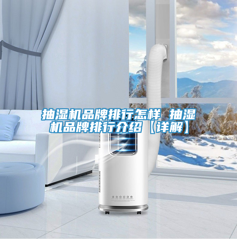 抽濕機品牌排行怎樣 抽濕機品牌排行介紹【詳解】