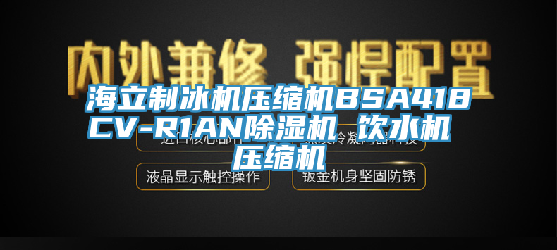海立制冰機(jī)壓縮機(jī)BSA418CV-R1AN除濕機(jī) 飲水機(jī) 壓縮機(jī)