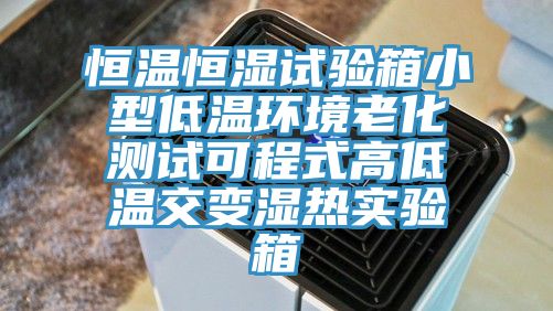 恒溫恒濕試驗(yàn)箱小型低溫環(huán)境老化測(cè)試可程式高低溫交變濕熱實(shí)驗(yàn)箱