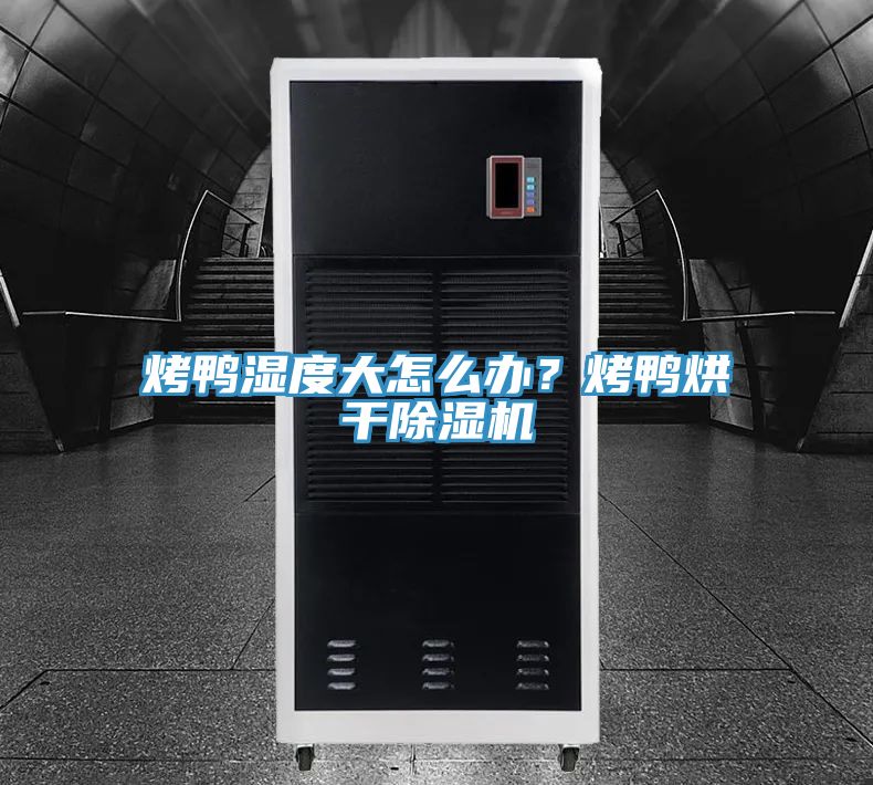 烤鴨濕度大怎么辦？烤鴨烘干除濕機(jī)