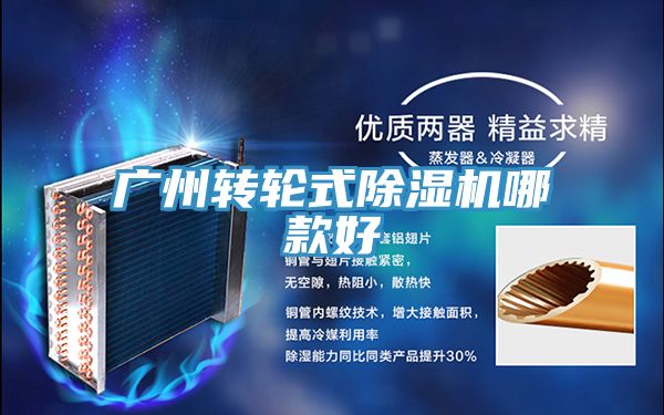 廣州轉(zhuǎn)輪式除濕機哪款好