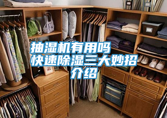 抽濕機有用嗎   快速除濕三大妙招介紹