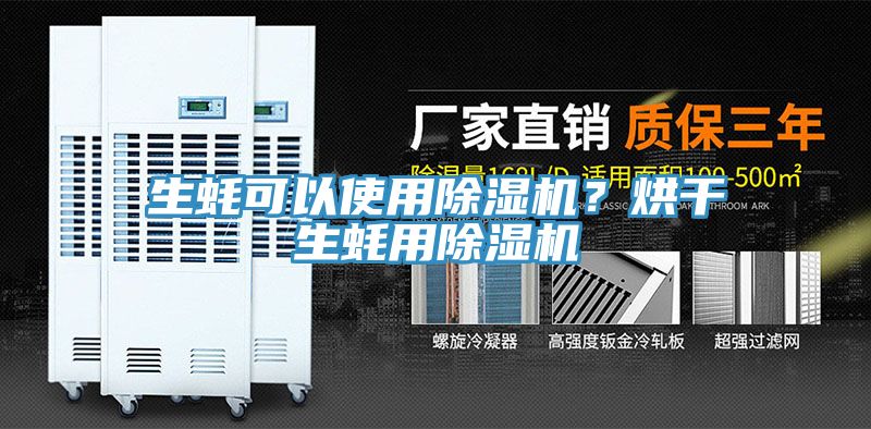 生蠔可以使用除濕機？烘干生蠔用除濕機