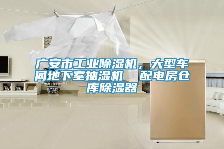 廣安市工業(yè)除濕機，大型車間地下室抽濕機  配電房倉庫除濕器