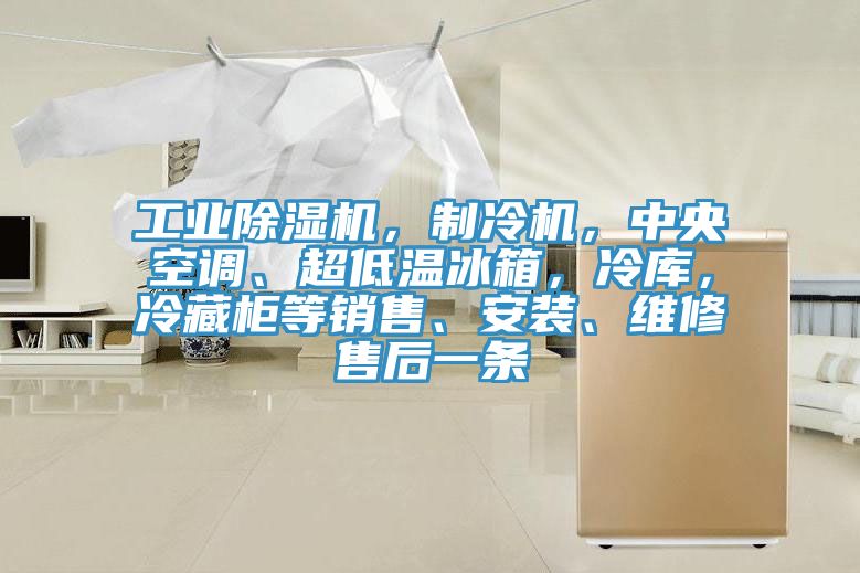 工業(yè)除濕機(jī)，制冷機(jī)，中央空調(diào)、超低溫冰箱，冷庫，冷藏柜等銷售、安裝、維修售后一條