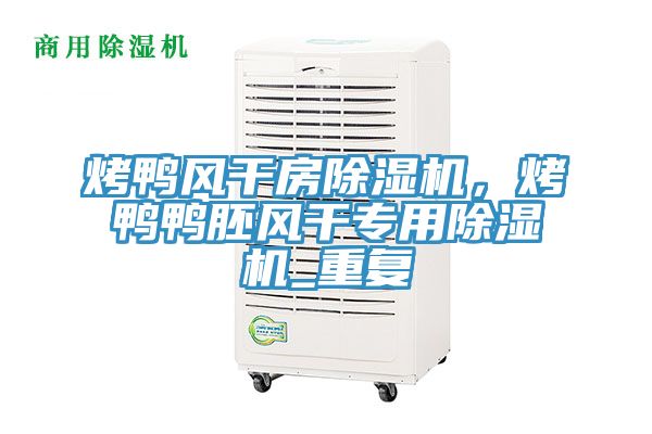 烤鴨風干房除濕機，烤鴨鴨胚風干專用除濕機_重復(fù)