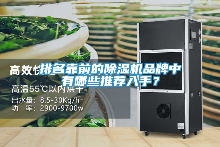 排名靠前的除濕機品牌中有哪些推薦入手？