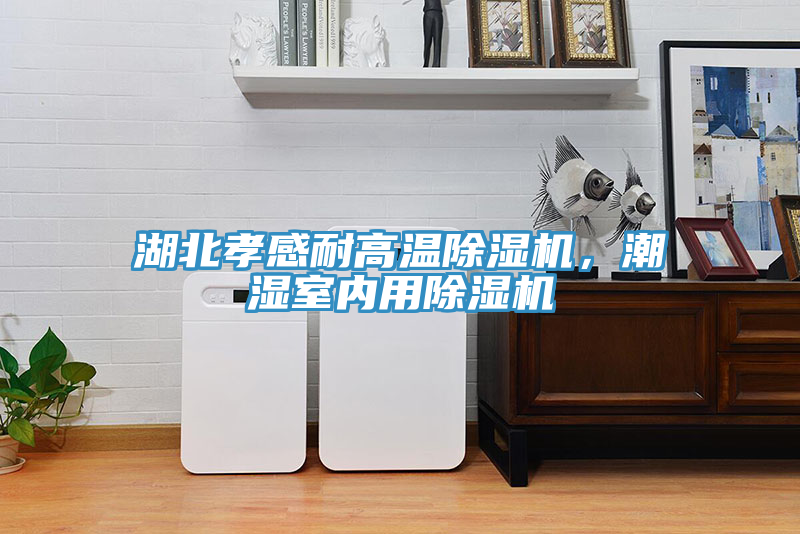 湖北孝感耐高溫除濕機(jī)，潮濕室內(nèi)用除濕機(jī)
