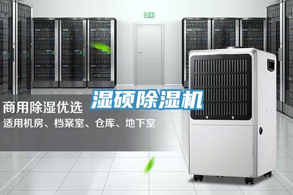 濕碩除濕機(jī)