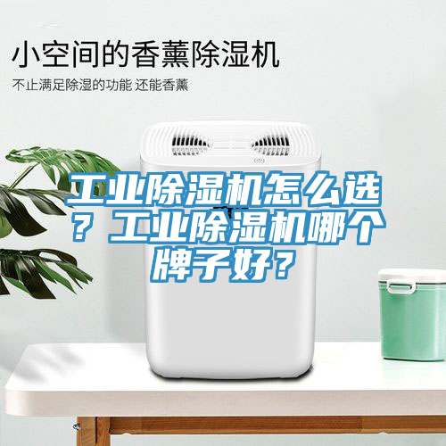工業(yè)除濕機(jī)怎么選？工業(yè)除濕機(jī)哪個(gè)牌子好？