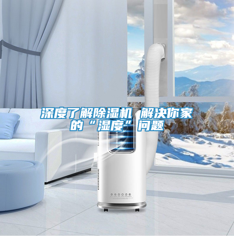 深度了解除濕機(jī) 解決你家的“濕度”問題