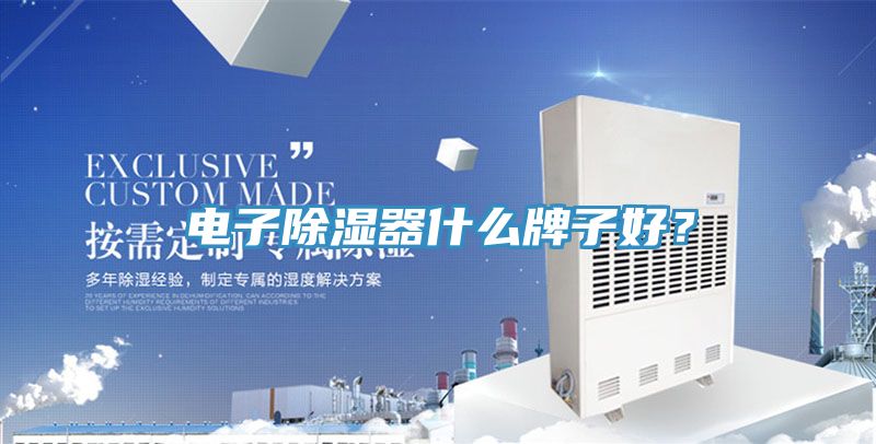 電子除濕器什么牌子好？
