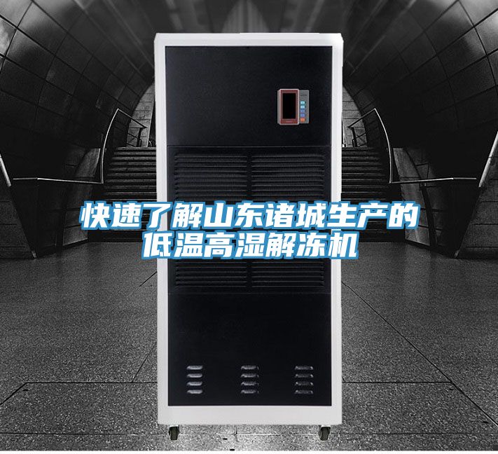 快速了解山東諸城生產(chǎn)的低溫高濕解凍機(jī)