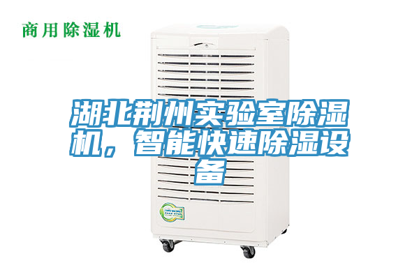湖北荊州實(shí)驗(yàn)室除濕機(jī)，智能快速除濕設(shè)備