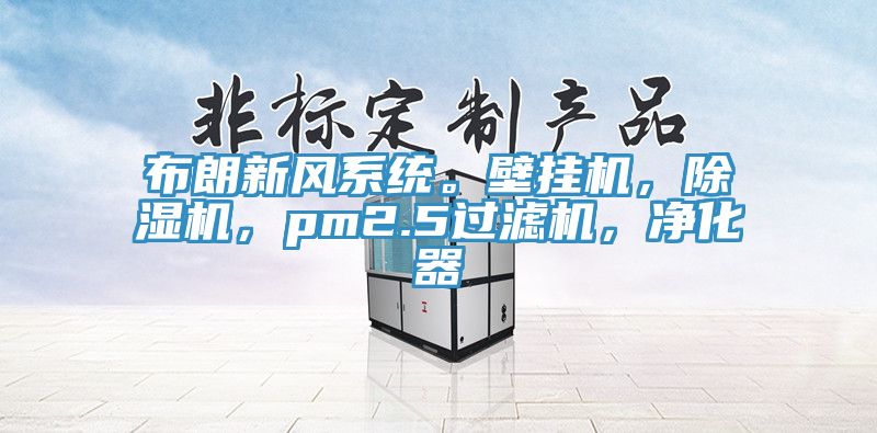 布朗新風(fēng)系統(tǒng)。壁掛機(jī)，除濕機(jī)，pm2.5過濾機(jī)，凈化器