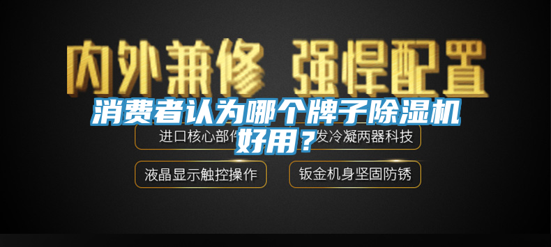 消費者認(rèn)為哪個牌子除濕機好用？
