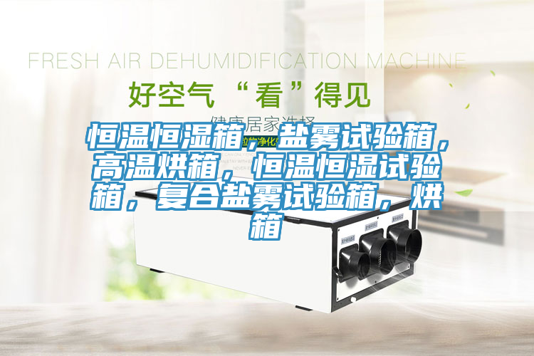 恒溫恒濕箱，鹽霧試驗(yàn)箱，高溫烘箱，恒溫恒濕試驗(yàn)箱，復(fù)合鹽霧試驗(yàn)箱，烘箱