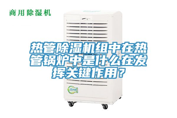 熱管除濕機(jī)組中在熱管鍋爐中是什么在發(fā)揮關(guān)鍵作用？