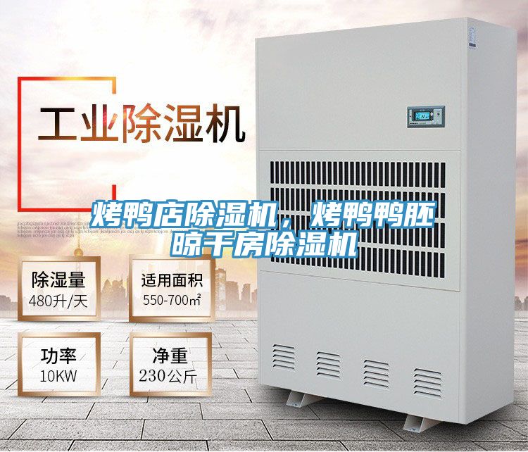烤鴨店除濕機(jī)，烤鴨鴨胚晾干房除濕機(jī)