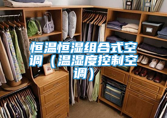 恒溫恒濕組合式空調(diào)（溫濕度控制空調(diào)）