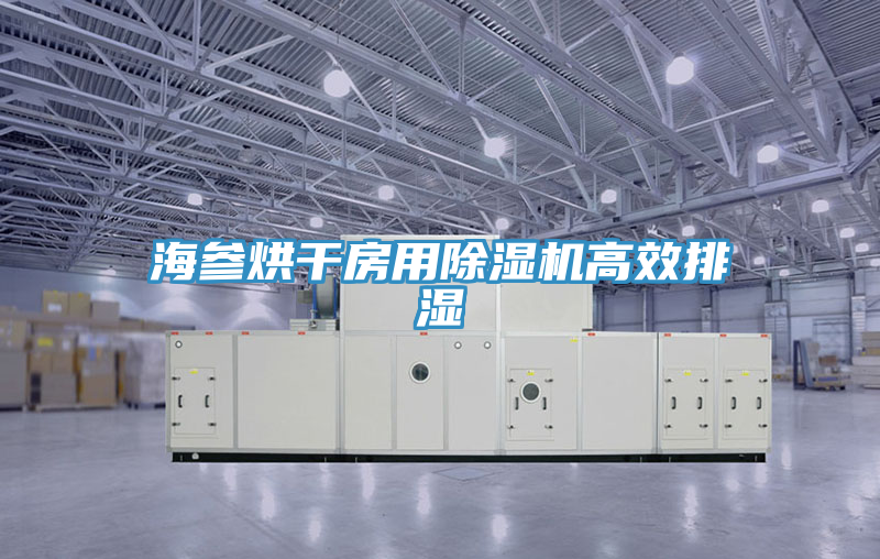 海參烘干房用除濕機(jī)高效排濕