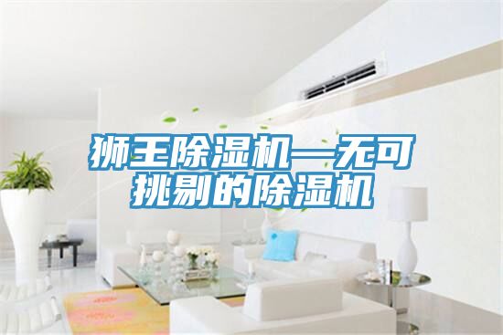 獅王除濕機—無可挑剔的除濕機