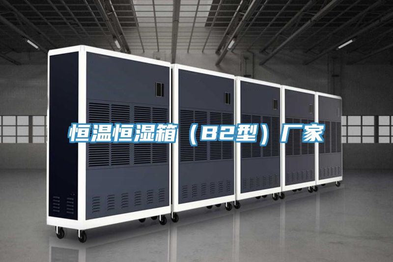 恒溫恒濕箱（B2型）廠家