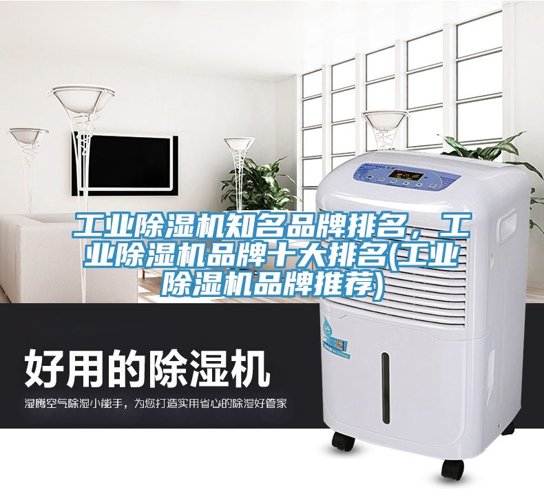 工業(yè)除濕機知名品牌排名，工業(yè)除濕機品牌十大排名(工業(yè)除濕機品牌推薦)