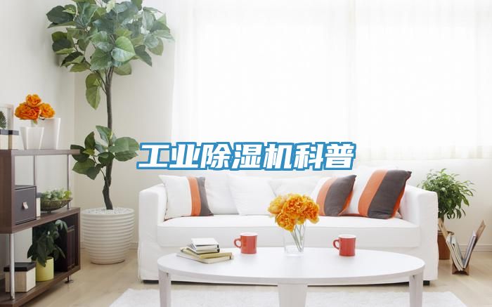 工業(yè)除濕機科普