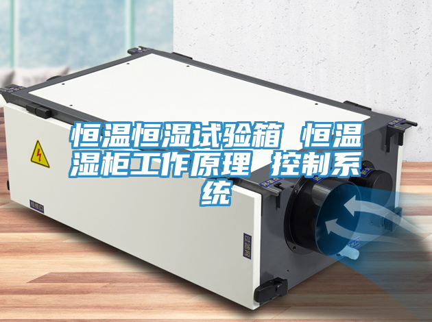 恒溫恒濕試驗(yàn)箱 恒溫濕柜工作原理 控制系統(tǒng)