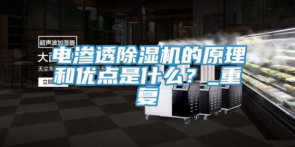 電滲透除濕機的原理和優(yōu)點是什么？_重復