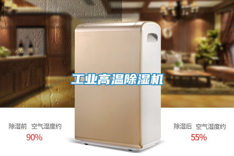 工業(yè)高溫除濕機(jī)