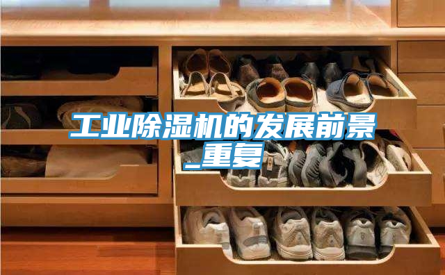 工業(yè)除濕機(jī)的發(fā)展前景_重復(fù)
