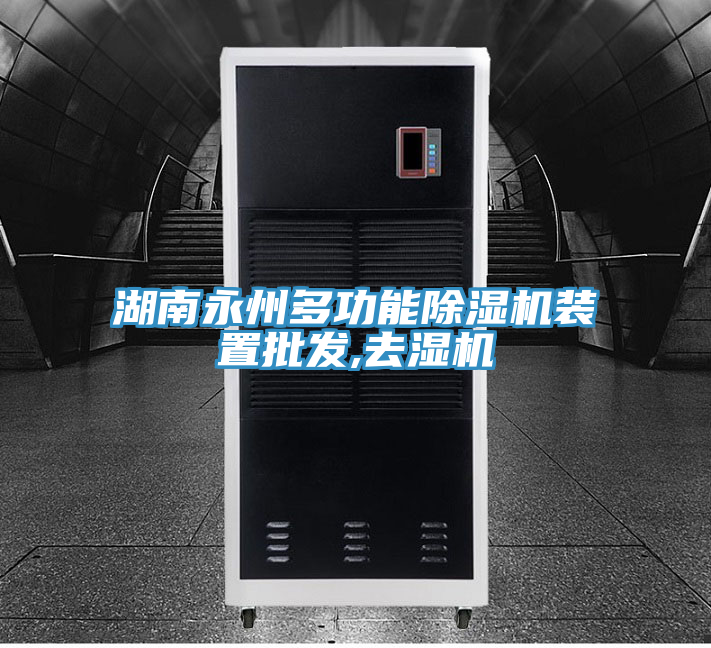 湖南永州多功能除濕機裝置批發(fā),去濕機