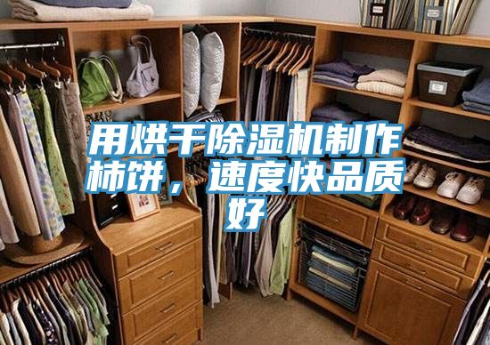 用烘干除濕機(jī)制作柿餅，速度快品質(zhì)好