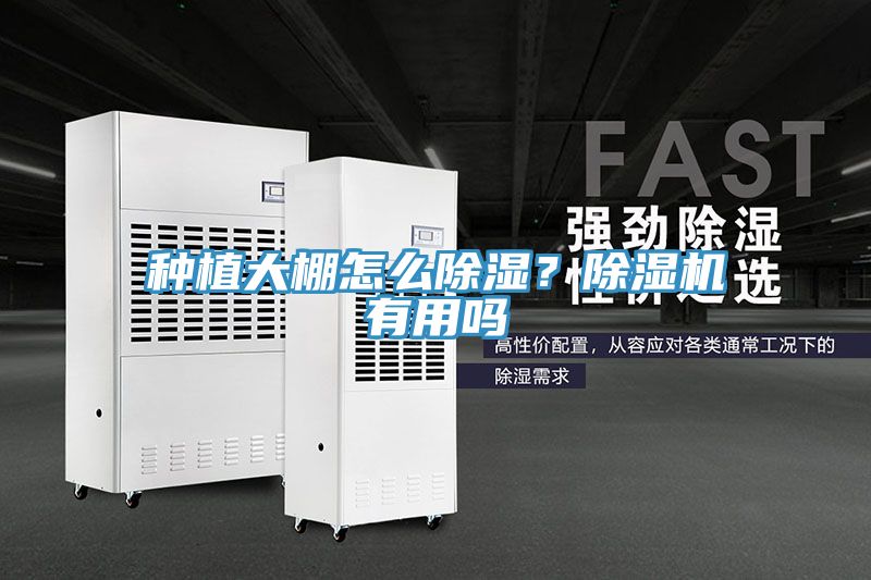 種植大棚怎么除濕？除濕機有用嗎