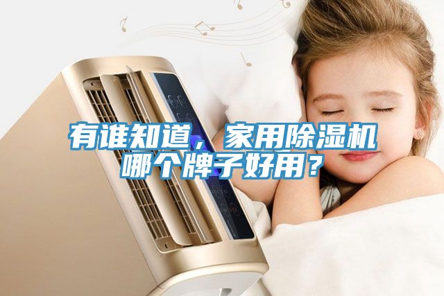 有誰知道，家用除濕機(jī)哪個牌子好用？