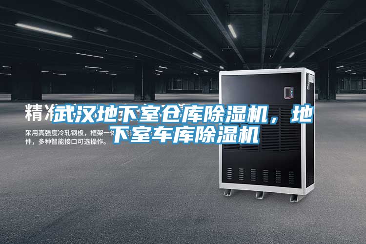武漢地下室倉庫除濕機，地下室車庫除濕機