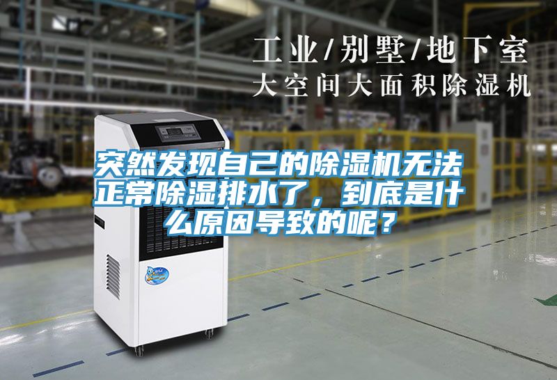 突然發(fā)現(xiàn)自己的除濕機(jī)無(wú)法正常除濕排水了，到底是什么原因?qū)е碌哪兀?></div>
								<div   id=