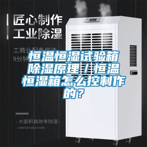 恒溫恒濕試驗(yàn)箱除濕原理／恒溫恒濕箱怎么控制作的？