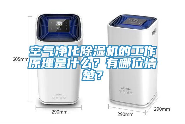 空氣凈化除濕機(jī)的工作原理是什么？有哪位清楚？