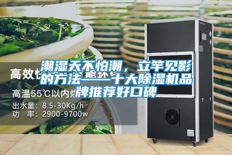潮濕天不怕潮，立竿見影的方法——十大除濕機品牌推薦好口碑