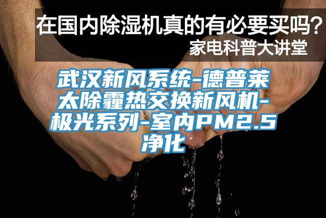 武漢新風(fēng)系統(tǒng)-德普萊太除霾熱交換新風(fēng)機-極光系列-室內(nèi)PM2.5凈化