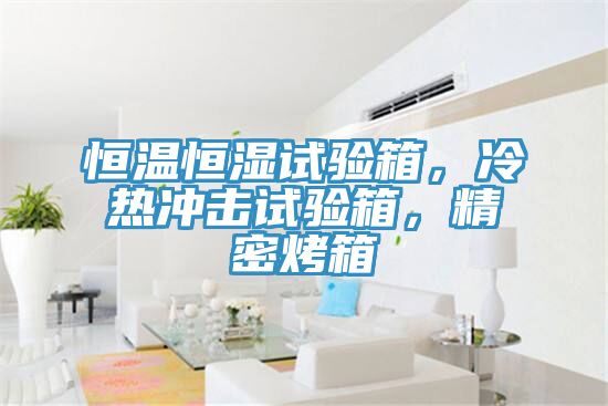 恒溫恒濕試驗箱，冷熱沖擊試驗箱，精密烤箱