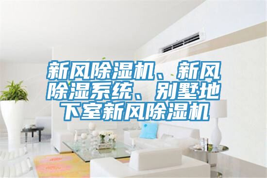 新風除濕機、新風除濕系統(tǒng)、別墅地下室新風除濕機