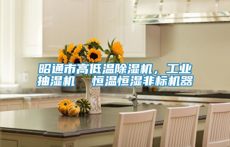 昭通市高低溫除濕機(jī)，工業(yè)抽濕機(jī)  恒溫恒濕非標(biāo)機(jī)器