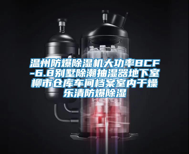 溫州防爆除濕機(jī)大功率BCF-6.8別墅除潮抽濕器地下室柳市倉(cāng)庫(kù)車間檔案室內(nèi)干燥樂清防爆除濕