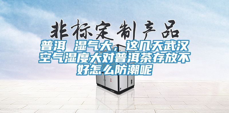 普洱 濕氣大，這幾天武漢空氣濕度大對(duì)普洱茶存放不好怎么防潮呢