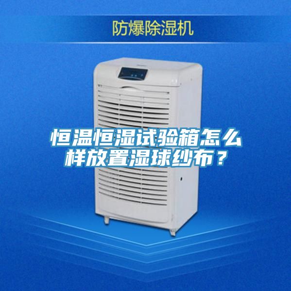 恒溫恒濕試驗箱怎么樣放置濕球紗布？