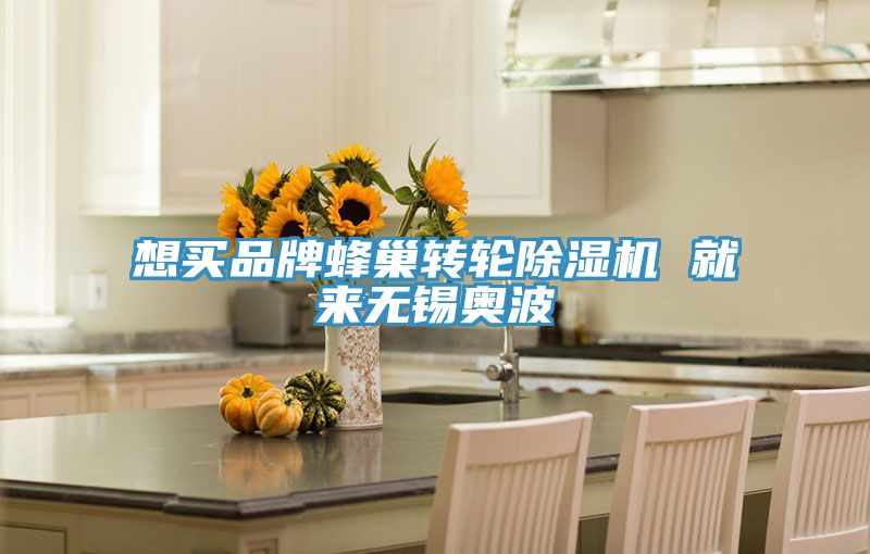 想買品牌蜂巢轉(zhuǎn)輪除濕機(jī) 就來無錫奧波